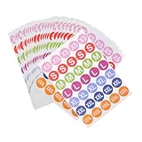 DOITOOL 25 Blatt Größenetikett Aufkleber Farbige Etiketten Aufkleber Kleidergrößenaufkleber Farbe Name Größenetiketten für Kleidung selbstklebende Größenetiketten Kupferplattenaufkleber