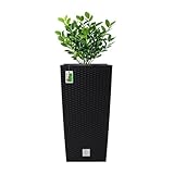 PAFEN Blumenkübel Pflanzkübel Rattan-Optik inkl. Einsatz 14L Pflanzenbehälter Kunststoff (Anthrazit)