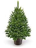 ArtiTree - Künstlicher Weihnachtsbaum 40cm im Topf - Christmas Tree für Innen und Außen, Kunstlich Baum für Weihnachtsdeko, Realistische Optik