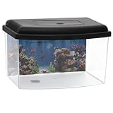 GarPet Mini Aquarium Terrarium Faunarium Zucht Becken klein Fisch Triops Garnelen Acryl Kunststoff Plastik mit Deckel Rückwandfolie