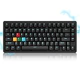 LQXQ SK75 TMR 75% Aluminium Wireless Mechanical Tastatur ANSI US, Pre-lubed POM Switches RGB Creamy Gaming Keyboard, 3-Modes BT5.0/2.4G/USB-C, Hot Swappable Keyboard mit Dichtung, Schwarz