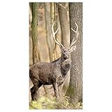 Schaufenster Banner Hirsch im Wald 100 x 200 cm braun schwer entflammbar Textilbild Motiv Banner Textilbanner Wandbild Herbst Bild Stoffbanner Textil Poster Displaybanner Tier Bilder Poster Hirsch