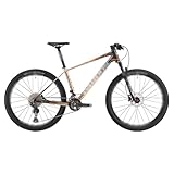 BEDOIN 22 Gänge Mountainbike Carbonrahmen Scheibenbremse Für Herren Damen Herrenfahrrad Erwachsenenfahrrad C-178-187CM/22Speed