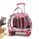 Transporttasche mit Rollen für Katze und Hunde, Transparent Tragetasche mit Teleskopgriff, Katzentransporttasche Haustiertrage Transportbox mit Trolley für Kleine Mittelgroße Hund und Katzen