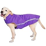 Wasserdichter Hundemantel Hundejacke mit Kragenloch Klettverschluss Fleece gefüttert reflektierender Wintermantel für mittelgroße große Hunde Lila 4XL
