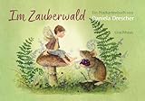 Postkartenbuch »Im Zauberwald«