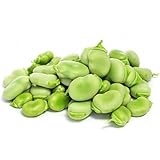 60 Seeds: Broad Bean Seeds Variety aquadulce Claudia Dried fava ackerbohne up to 180 Seeds: Only seeds