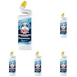 WC-Ente WCFlüssigreiniger, Meeresküste, 750 ml (Packung mit 5)