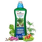 Blusana Hydroponik Dünger NPK 7-3-6 Flüssigdünger für Zierpflanzen Obst und Gemüse in Nährlösung 1l – gesundes Wachstum & reicher Ertrag