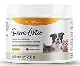 EXVital TierPlus Darm Aktiv Pulver für Hunde & Katzen, Probiotika & Präbiotika für eine gesunde Darmflora- Nach Durchfall, Wurmkur, Antibiotika & Magen- Darm