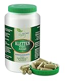 VITA IDEAL Vegan® Kletten Wurzel 90 Kapseln - Arctium lappa - Tagesportion 940mg Klettenwurzel reines Pulver. Natürlich, pflanzlich und ohne Zusatzstoffe, original von VITAIDEAL.