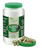 VITA IDEAL Vegan® Kletten Wurzel 180 Kapseln - Arctium lappa - Tagesportion 940mg Klettenwurzel reines Pulver. Natürlich, pflanzlich und ohne Zusatzstoffe, original von VITAIDEAL.