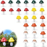 HJIAMA 25 Stück Pilze Deko, Holz Miniatur Pilze, Oberflächenpolieren, Deko Pilze für Draußen, Geeignet für Blumentopf-Dekoration, Szenen-DIY
