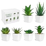 Ouddy Daily 6 Stück Kunstpflanzen außenbereich Künstliche Pflanzen Kunstpflanzen Badezimmer Kunstpflanzen im Topf Künstliche Sukkulenten Tischdeko Haus Balkon Büro Deko MEHRWEG (Grün)