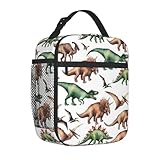 TFDGDGH Dinosaurier Tier Isolierte Lunchpakete Kühltasche Lunchcontainer Pflanzenfressende Reptilien Tote Lunch Box Bento Pouch Schulreise