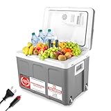 TZS First Austria - Kühlbox 45L elektrisch 12V 230V Anschluss für Auto & Steckdose - Thermoelektrische Cool Box kühlt & wärmt - Mini Kühlschrank mit Rollen - Für Camping, Festivals, Reisen - Grau