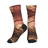 Kycvds Romantische Fahrradsocken, Baumwolle, athletisch, Sport, Laufen, Retro, niedlich, passende Crew-Socken für Herren und Damen, mit gekämmter Baumwolle, 2, Schwarz, 32 EU, EinheitsgröÃŸe