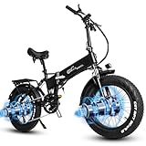 HFRYPShop RX20Max E-Bike Elektrofahrrad, 20'' E Fatbike mit Zwei Motoren | 816Wh 48V Lithiumbatterie, Klapprad E-Bike für Berggebiete/Steile Hänge | All Terrain Ebike für Herren Damen