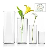 UCAMP Hohe Glasvasen für Tischdeko, Zylinder Vase in 4 Größen, Gläser für Kerzen, Blumen, Kieselsteine, Muscheln & Windlicht Glas, Durchsichtige Glasvase Zylinder, Kerzenhalter