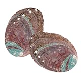 ROMISBABA 2 Stück Abalone Muschel Räucherschale Natürliches Gras brenngefäß Kompakt Leicht Vielseitig als Dekoration und DIY räucherstövchen Geeignet