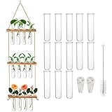 Elsjoy 13 Stück Wandbehang Glas Pflanztrohr mit Holzständer, 3 Etagen Pflanze Terrarium Mini Reagenzglas Pflanze Anzuchtstation, Luftpflanzenbehälter für Home Office Garten Dekor