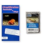 AQ4Aquaristik Triops longicaudatus ca. 100 Urzeitkrebse Eier (Zuchtansatz im Sand) mit Anleitung