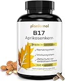 360 Aprikosenkerne Kapseln mit 1100mg Aprikosenkern-Extrakt pro Tag (2 Kapseln) mit Vitamin B17 + natürlichem Vitamin C aus Hagebutte + Piperin - HALBJAHRESVORRAT mit 180 Portionen von plantomol®