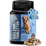 Tierkraft Gelenktabletten für Hunde - Made in Germany - Gelenktabletten Hund mit Grünlippmuschel - Teufelskralle Hund - MSM Hund & Grünlippmuschel Hund - 200 Gelenk- & Knochenschutz Tabletten