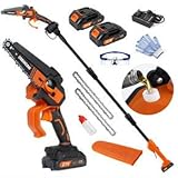6-8 Zoll Akku Astsäge & Mini Kettensäge 2-in-1, bürstenlose elektrische Hochentaster, mit 2 * 2000-mAh-Akku, 1.8 m Verlängerungsstange, Ersatzkette, Handschuhen und Schutzbrille, EU-Stecker