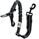 Hundefreund Hundegurt fürs Auto - Verstellbarer Sicherheitsgurt für Große und Mittelgroße Hunde mit Ruckdämpfer – Extra Sicherer Anschnallgurt für alle Autotypen (Schwarz)
