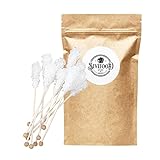 SIVIFOOD weiße Kandiszucker Sticks Natur 25 Stück Vorteilspack - natürlicher weißer Kandis am Stiel für Tee Zucker am Stab Kandissticks zum verschenken Geschenk Dekoration Weihnachten Kristallzucker