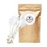 SIVIFOOD weiße Kandiszucker Sticks Natur 25 Stück Vorteilspack - natürlicher weißer Kandis am Stiel für Tee Zucker am Stab Kandissticks zum verschenken Geschenk Dekoration Weihnachten Kristallzucker