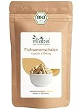 Bio Flohsamenschalen Kapseln 100 Stück | 99% Reinheit Flohsamen Schalen | Premium Rohkost Qualität aus Indien | Vegan