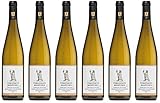 Vereinigte Hospitien Serriger Schloss Saarfelser Schlossberg Riesling Kabinett VDP.Grosse Lage 2023 Süß (6 x 0.75 l)