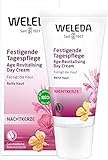 WELEDA Bio Nachtkerze Festigende Tagespflege, vitaminreiche Naturkosmetik Pflegecreme für reife Haut im Gesicht, Gesichtscreme gegen tiefe Falten und trockene Haut für Spannkraft (1 x 30 ml)