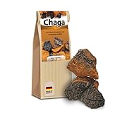 Chaga Pilz Brocken wild in den Wäldern Sibiriens gesammelt schonend getrocknet vegan Broschüre mit vielen Rezepten (150 g (1er Pack))