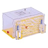 BOGAZY Ameisenfarm Ameisenfarm Ameisenburg Ameisennest Wissenschaftliche Beobachtungsfarm Interessiert An Ameisenfütterung Ameisen(B)