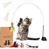 KASPARINO Katzenangel stabil - Katzenspielzeug Angel mit Federn, Vogel & Saugnapf - Selbstbeschäftigung - Langlebige Katzen inkl. Katzenminze - interaktives Set