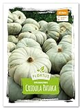FLORTUS 2000-1274 Speisekürbis Crioula Pataka (Speisekürbissamen)