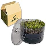 SaatPur® Keimsprossenbox Set 2 mit Zwei Etagen als Sprossen Keimgerät: Sprossen Anzucht sowie Microgreens Anzuchtschalen. Keimbox, Keimschale, Keimschachtel, Sprossenbox, Sprossenhaus, Keimgerät