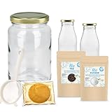 Curly Superfood Bio Kombucha Starter Set aus deutscher Herstellung - Tee einfach selbst herstellen mit vitalem Scoby