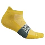 Icebreaker Merino Herren Multisport Light Cushion Micro Socke, Lux/Lucid/Fathom Green, Large