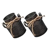 TOBBOMEY 2 Stück Retro Eisen Blumentopf Eimer Langlebiger Garten Pflanzkübel Klassische Blumenbüchse im Vintage Landhausstil für Innen und Außen Dekoration