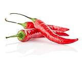 100g Frische rote Thai Chili Schoten Pamai Pai® Chilli frisch rot Kochen scharf Chillies