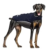 IREENUO Wasserdichter Hundemantel, Hundejacke Winter Winddichter Warmer Hunderegenmantel für Mittelgroße bis Große Hunde mit Sicheren Reflexstreifen und Verstellbarem Brustriemen (L, Blue)