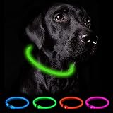 Nepfaivy Leuchthalsband Hund USB Aufladbar - Wasserdichtes Hundehalsband Leuchtend mit 3 Beleuchtungsmodi, Längenverstellbareres LED Halsband für Kleine, Mittlere und Große Hunde (Grün)