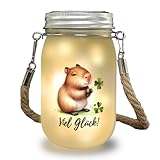 Capybara mit Kleeblatt Solarlicht mit Spruch Viel Glück niedliches Hand-süßes Tier Nager mit grünem Kleeblatt - charmante Pflanze für Garten oder Balkon