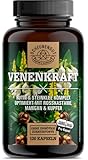 VENENKRAFT® Rutin Steinklee Kapseln Hochdosiert - WICHTIG: Laborgeprüfter Venen-Komplex mit Rutin, Steinklee, Rosskastanienextrakt, Mangan,Kupfer &mehr I 120 Stk -DE- SCHEUNENGUT®