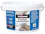 SchimmelX Schutzfarbe Wand und Decke 2,5 l | hochdeckende Spezialfarbe | für Küche, Bad und Wohnbereich | scheuerbeständig | Lösemittelfrei | Innenbereich