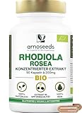 Rhodiola Rosea BIO | Konzentrierter Extrakt Rosenwurz Rhodiola Rosea (Rosavin + Salidrosiden) | 100% natürlich | 90 vegane Kapseln | Spitzenqualität